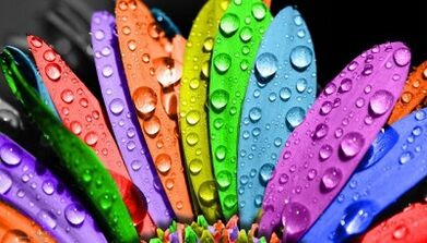 как похудеть с помощью диеты 6 лепестков